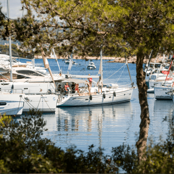 ACI marina Palmižana Anchored Boats
