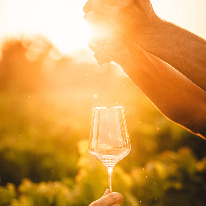 Booker Travel Agency