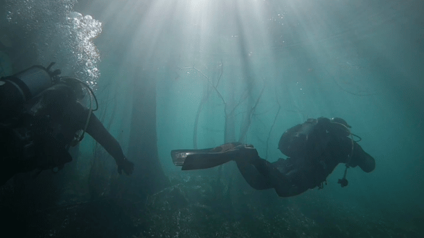 Croatia Open Land Tours DMC Diving