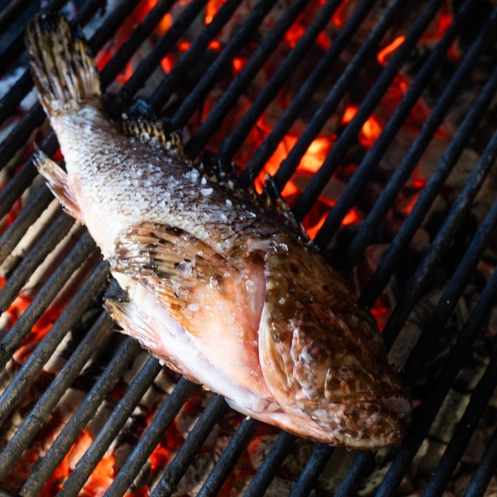 Olive Island Marina Grilled Fish