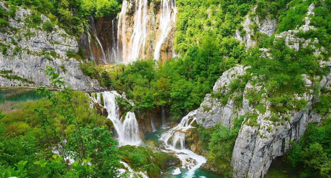 Perfecta Travel Greenery