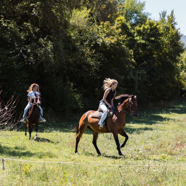 Perfecta Travel Horse Riding