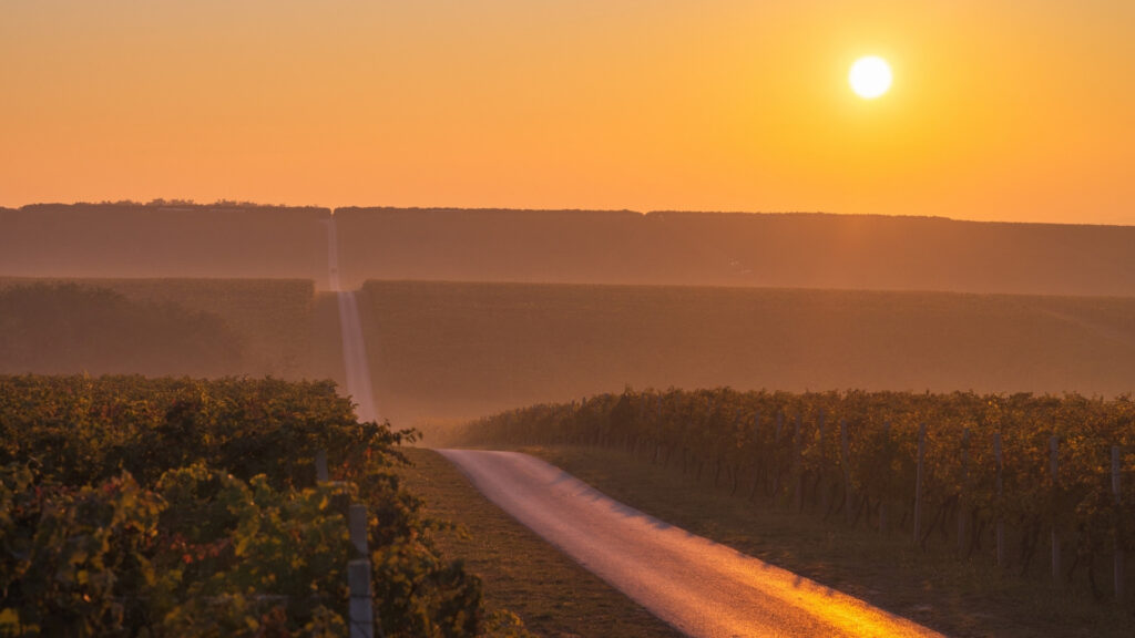 Autumn in Slavonia and Baranja