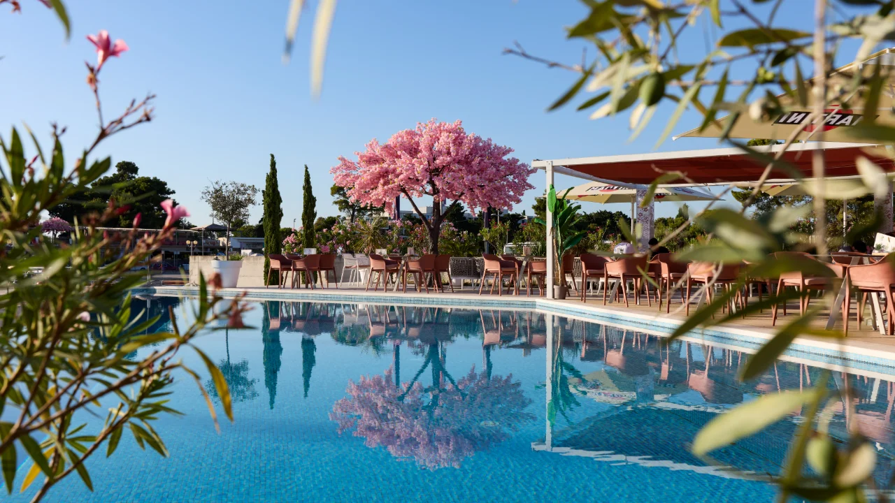 Waterfront swimming pool surrounded by Mediterranean gardens at D-Marin Borik